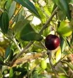 DSCN0151.webp