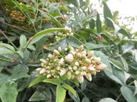 Bilda064.webp