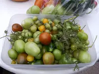 IMG_20151012_181644_4CS.webp