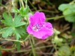 DSCN0122.JPG