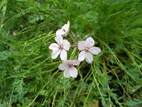 DSCN0125.webp