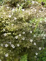 DSCN9956.webp