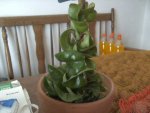 BILD4675.JPG