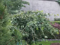 DSCF9099.webp
