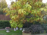 DSCF9077.webp