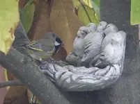DSCF9097.webp