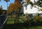garten_herbst.jpg