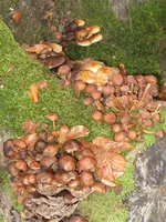 005_576x768.webp