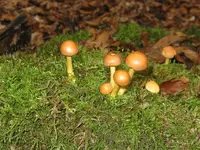 007_1024x768.webp