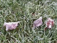001_1024x768.webp