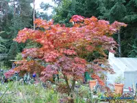 comp_P1250871.webp