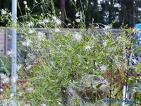 comp_P1250874.webp