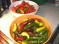 BILD4670.webp