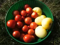 BILD4668.JPG