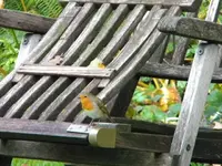 DSCN0194.webp