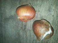 20151014_081758.webp