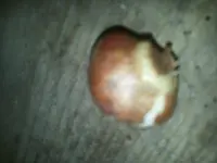 20151014_081740.webp