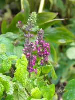 DSCN0192.webp