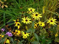 DSCN0179.webp