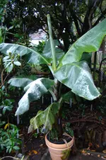 DSC04661.webp
