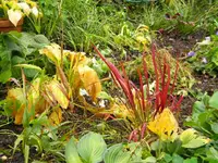 DSCN0164.webp