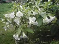 PA140697.webp