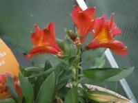 PA140706.webp