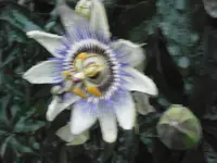 PA140710.webp