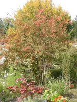 002.webp