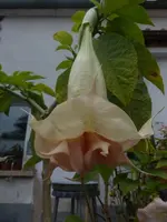 P1540880.webp