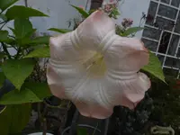 P1540876.webp