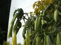 BILD4678.webp