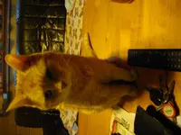 IMGP2050.webp
