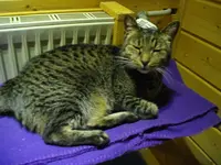 IMGP2047.webp