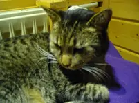 IMGP2048.webp