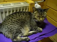 IMGP2049.webp