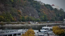 DSCF3840 (3).webp