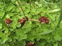 BILD4107.webp