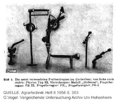 Vergleichende-Untersuchung.jpg