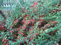 BILD4699.webp