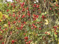 BILD4701.webp