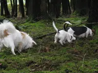 007_1067x800.webp