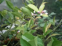 PA170718.webp