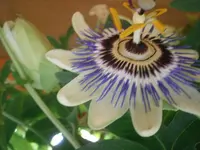 PA170723.webp