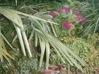 PA170726.webp
