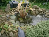 PA170731.webp