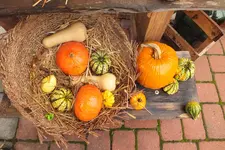 DSCF3905.webp