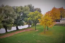 DSCF3934 (2).webp