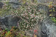 DSCF4032 (2).webp