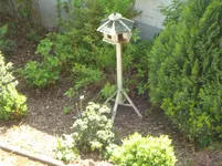 DSC03103.webp